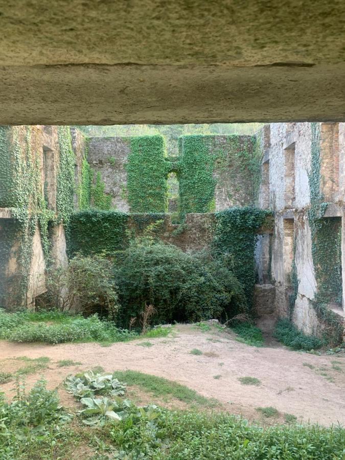 La Cabane De Piquet Le Tablier Exteriör bild